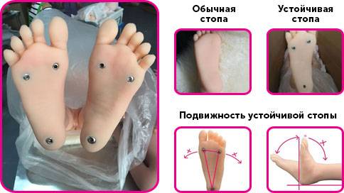 ustoichivie_nogi.jpg